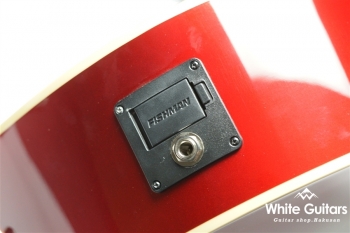 Newporter Player - CAR